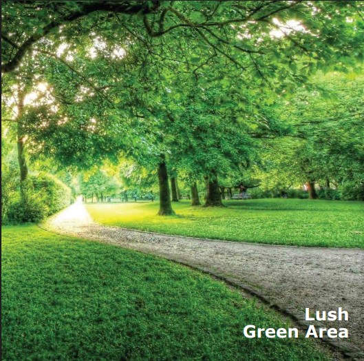Lush Green Spaces